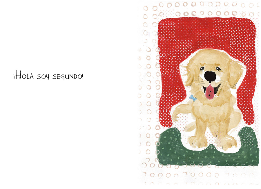 Hola soy Segundo