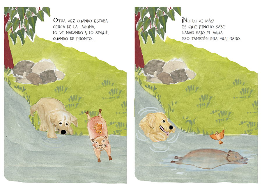 página doble del libro, una vez cuando estaba cerca de la laguna